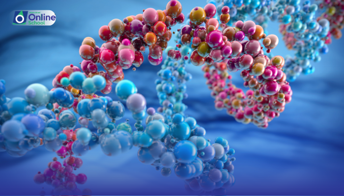Lesson 17: Explanation of Erythroblastosis Fetalis in Light of Antigen-Antibody Reaction
